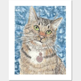 Felix Tabby cat art Posters and Art